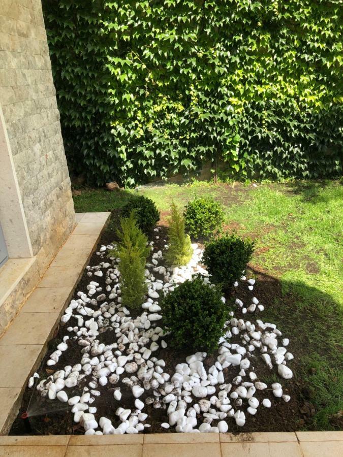 Acacia Hill A3 Διαμέρισμα Ðenovići Εξωτερικό φωτογραφία